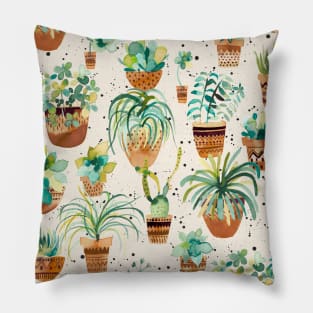 Home Succulent Plants White Pillow