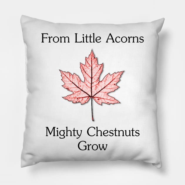 From Little Acorns Three Pillow by RFMDesigns