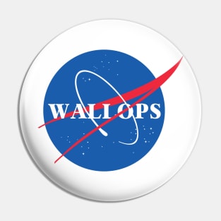 Wallops Flight Facility - NASA Meatball Pin