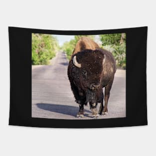 American Bison Tapestry