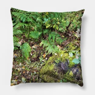 Ferns and Moss Pillow