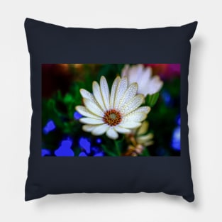 Raindrops On A Daisy Pillow