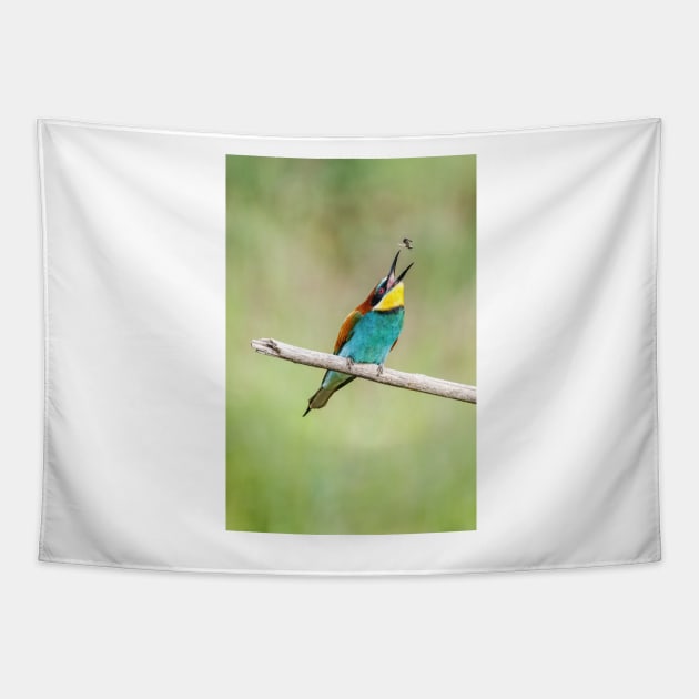 European bee-eater (Merops apiaster) Tapestry by GrahamPrentice