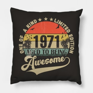 Vintage Year 1971 Pillow