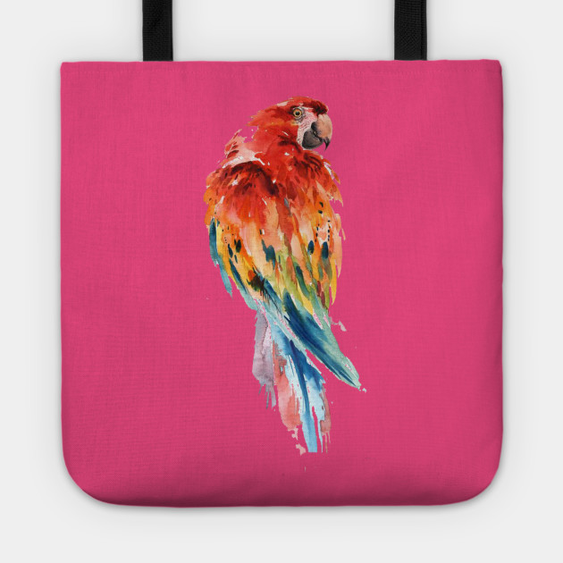 Parrot Watercolor Painting Bird Drawing Art Parrot Scarlet Macaw