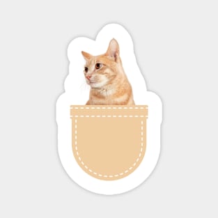 Orange Cat in Pocket (Ginger Domestic Short Hair) Magnet