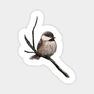 Chickadee Graphic Magnet