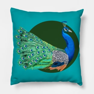 Peacock Pillow