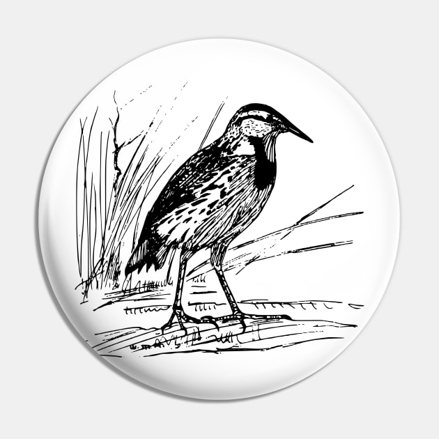 Englischstarling Pin by linesdesigns