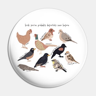 birds you've probably definitely seen before Pin