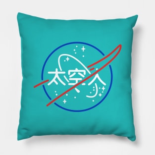 NASA Aesthetic Logo Pillow