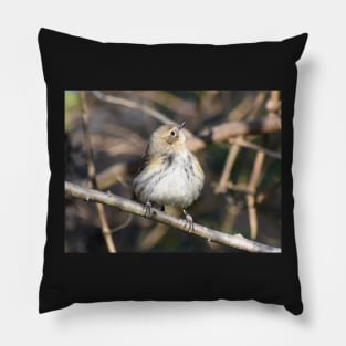 Yellow rumped warbler Pillow