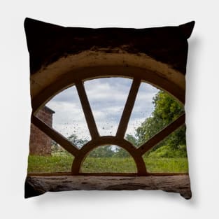 Picturing the World Outside Pillow