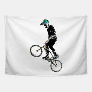 bmx Tapestry