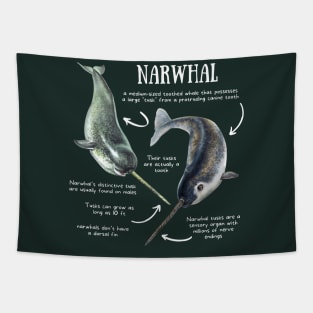 Animal Facts - Narwhal Tapestry