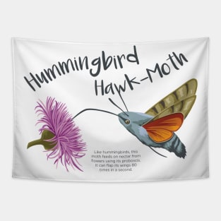 Hummingbird Hawk-Moth Tapestry