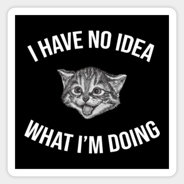 I Have No Idea What I M Doing Funny Cat Meme I Have No Idea What