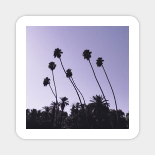Los Angeles Palm Trees Magnet
