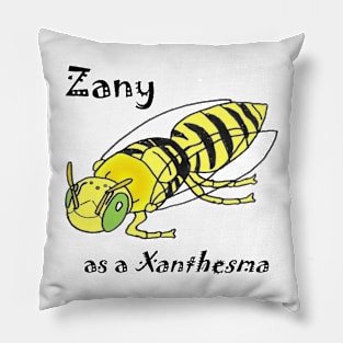 Zany as a Xanthesma Pillow