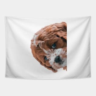 Puppy Peekaboo Tapestry