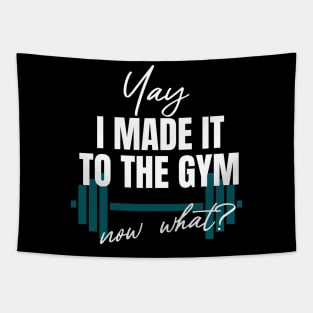 i made it to the Gym, Now What? Tapestry