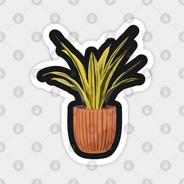 Dracaena plant | snake plant Magnet by gronly