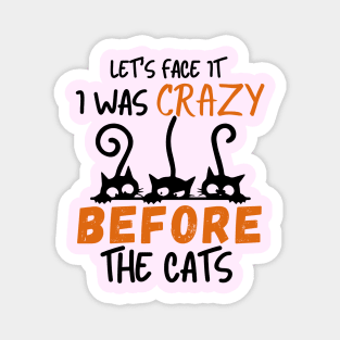 I Was Crazy Before Cats Magnet