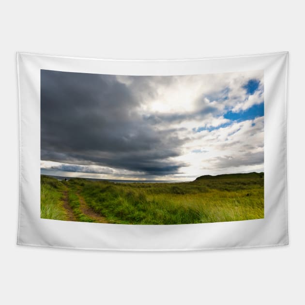 Will I need my brolly? Tapestry by Violaman