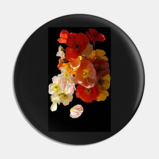 Sunny poppies Pin