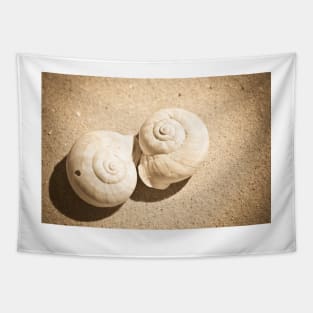 Shells Tapestry