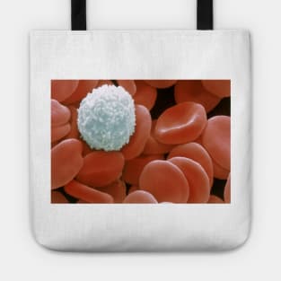 Colour SEM of red & white blood cells (P242/0218) Tote