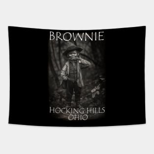 Brownie Tapestry