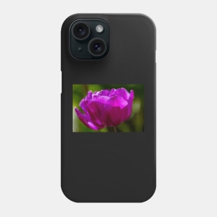 Tulip In Sunlight Phone Case