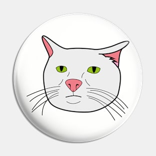 Serious Cat Meme Pin