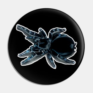 Brazillian Black Tarantula Pin