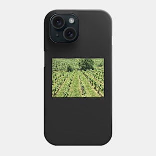 Styrian Wine Country in June Phone Case