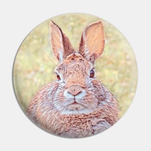Cottontail Rabbit-D Pin