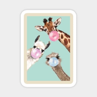 Funny Animals Giraffe, Llama, Ostrich Magnet