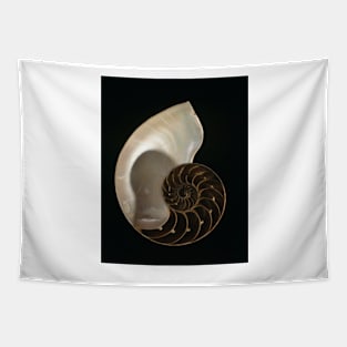 Common nautilus (C022/7617) Tapestry