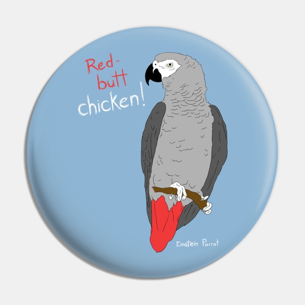 African Grey Parrot Red Butt Chicken Pin by Einstein Parrot