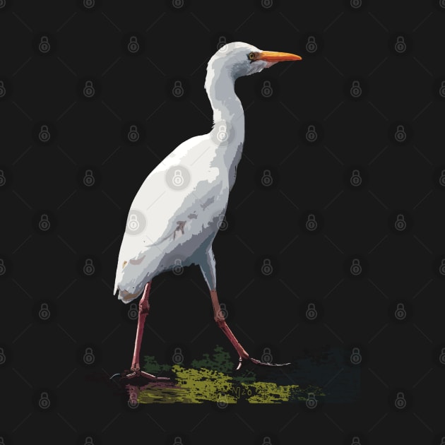 Cattle Egret on a walk by NadJac