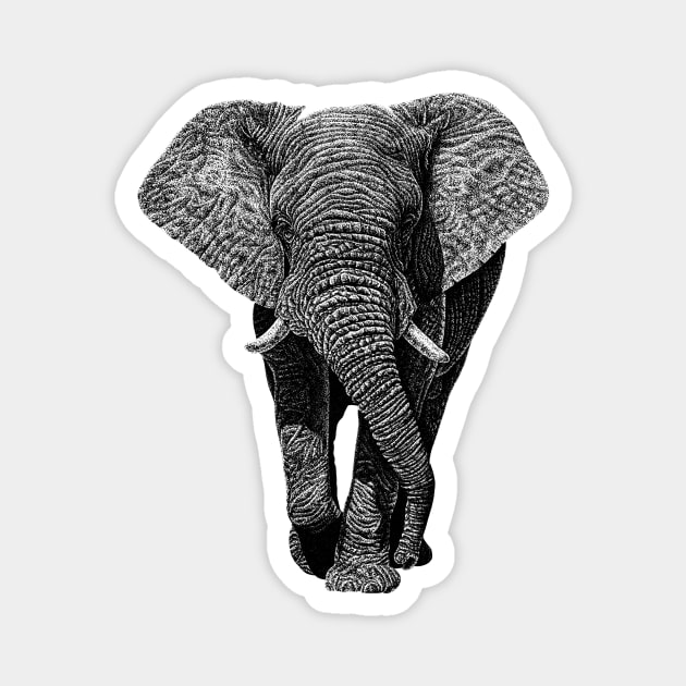 African elephant Magnet by lorendowding