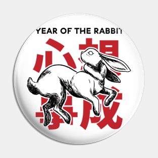 Chinese New Year of the Rabbit 2023 Pin