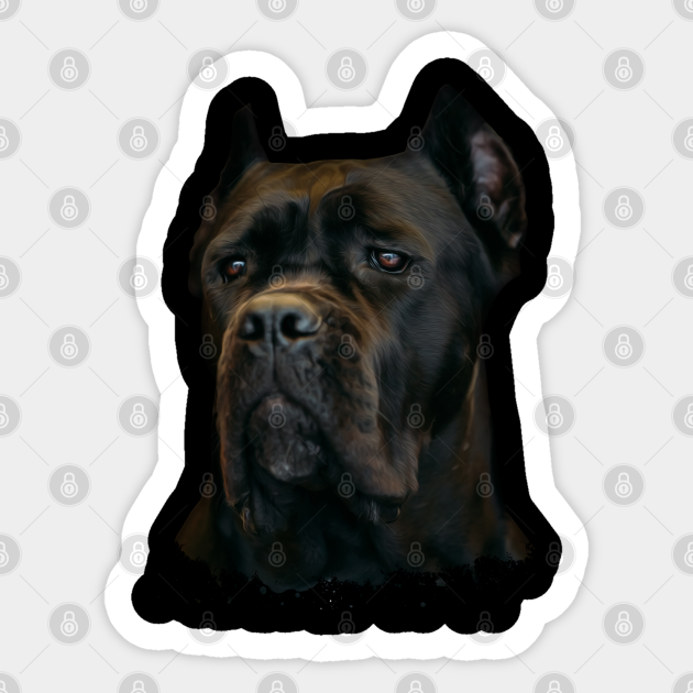 Cane Corso Italian Mastiff Cane Corso Sticker Teepublic