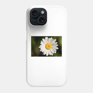 Dew covered Ox-eye Daisy Phone Case