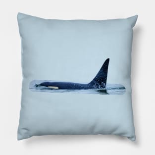 Large male Orca Pillow