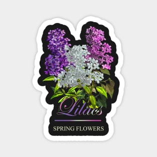 Vintage Lilac-Spring Flowers Lilacs-Gifts with printed flowers-Spring flower t-shirt-Floral shirt Magnet