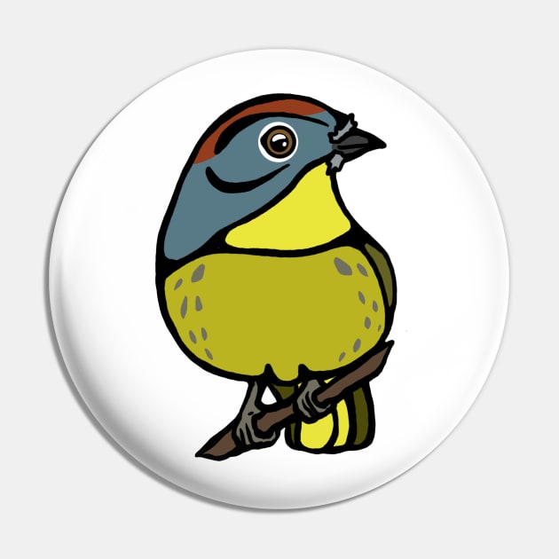 Nashville Warbler Graphic Pin by New World Aster 