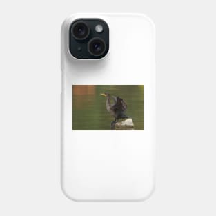 Double-crested Cormorant Phone Case