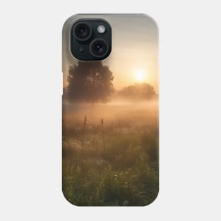 Sunrise over a green meadow fog rises in the summer Phone Case